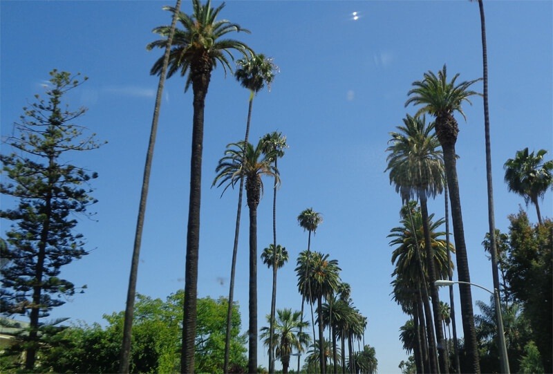 black owned, black black entrepreneurs, gig, side hustles