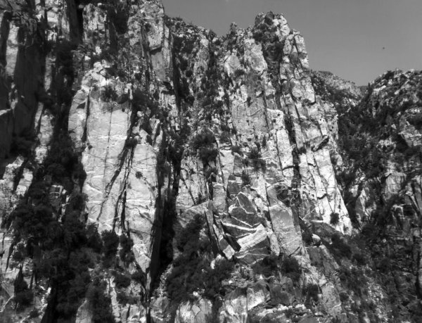 black owned, black black entrepreneurs, gig, side hustles