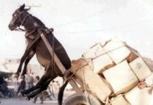 It’s Time to Hire an Assistant When….