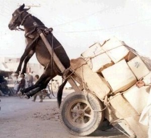 8-tips-to-handle-being-overwhelmed-300x275