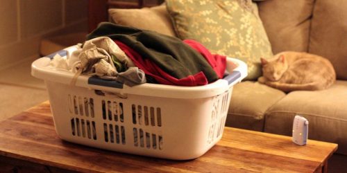 laundry-500x250