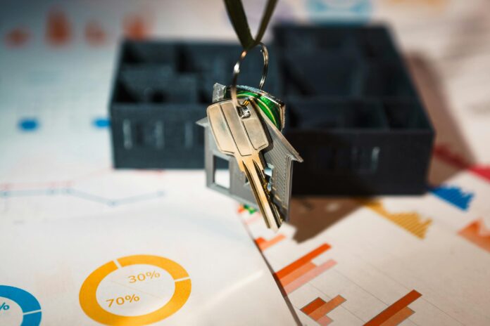 pexels-photo-29568695