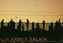 Netflix’s Journey: Lessons for Black Entrepreneurs in 2025