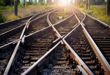 Entrepreneurs Paralyzed While On the Tracks of Destruction